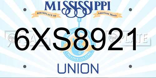 6XS8921 Mississippi License Plate