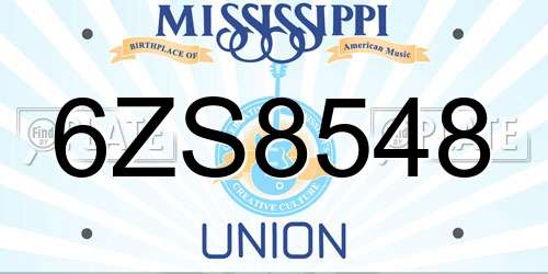 6ZS8548 Mississippi License Plate
