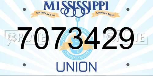 7073429 Mississippi License Plate
