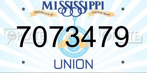 7073479 Mississippi License Plate
