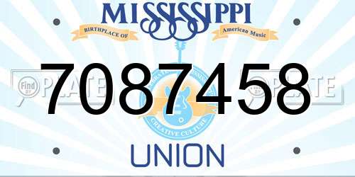 7087458 Mississippi License Plate
