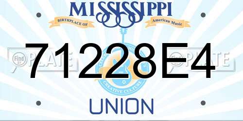 71228E4 Mississippi License Plate