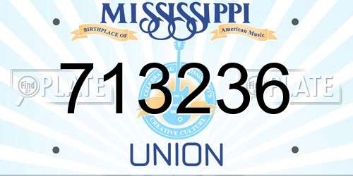 713236 Mississippi License Plate