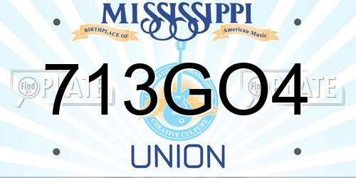 713GO4 Mississippi License Plate