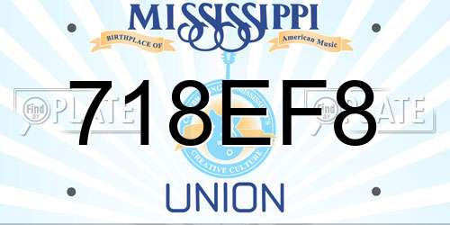 718EF8 Mississippi License Plate
