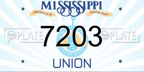 7203 Mississippi License Plate