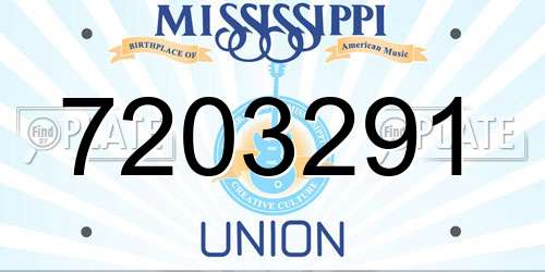 7203291 Mississippi License Plate