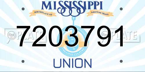 7203791 Mississippi License Plate