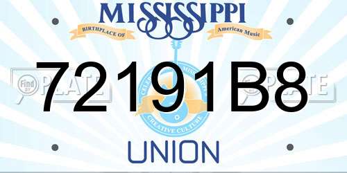 72191B8 Mississippi License Plate