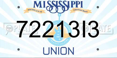 72213I3 Mississippi License Plate