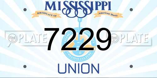 7229 Mississippi License Plate