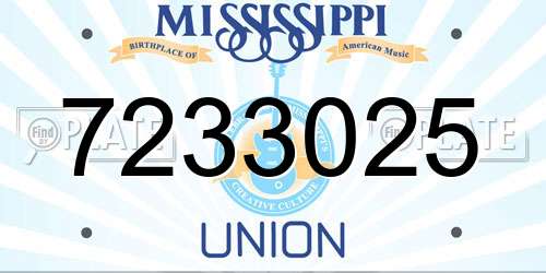 7233025 Mississippi License Plate
