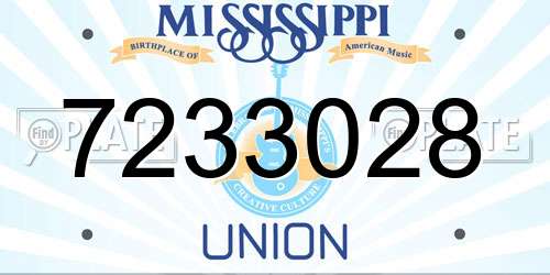 7233028 Mississippi License Plate