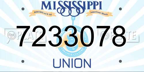 7233078 Mississippi License Plate