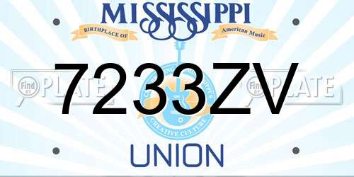 7233ZV Mississippi License Plate