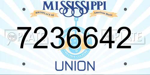 7236642 Mississippi License Plate