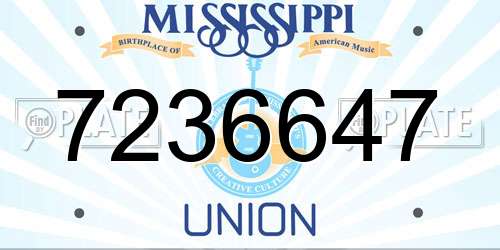 7236647 Mississippi License Plate