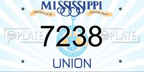 7238 Mississippi License Plate