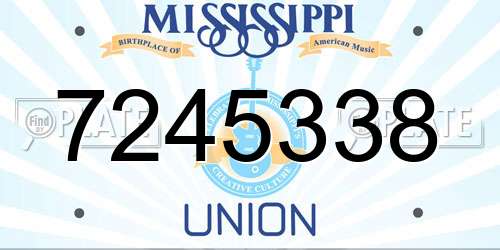7245338 Mississippi License Plate