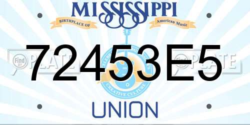 72453E5 Mississippi License Plate