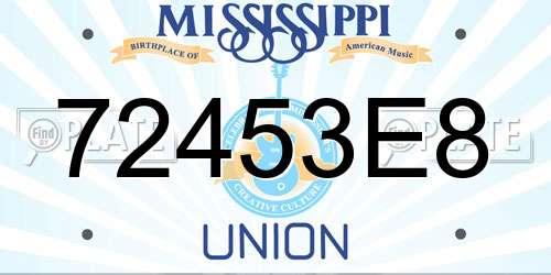 72453E8 Mississippi License Plate