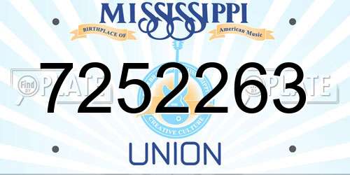 7252263 Mississippi License Plate