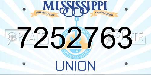 7252763 Mississippi License Plate