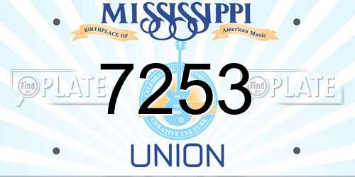 7253 Mississippi License Plate