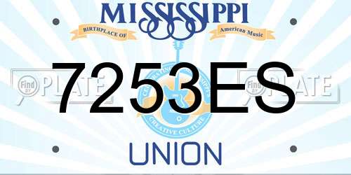 7253ES Mississippi License Plate