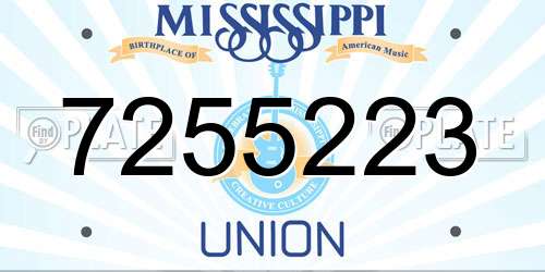 7255223 Mississippi License Plate