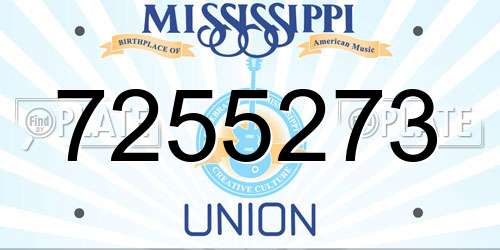 7255273 Mississippi License Plate