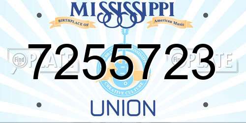 7255723 Mississippi License Plate