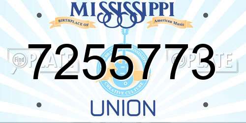 7255773 Mississippi License Plate