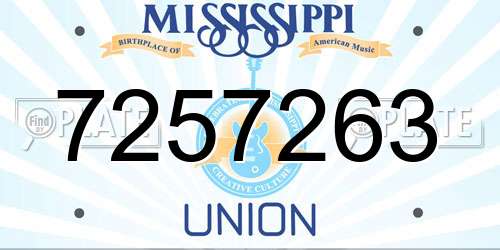7257263 Mississippi License Plate