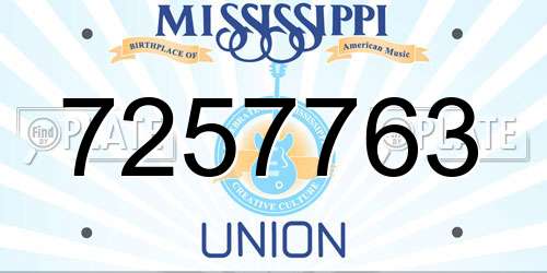 7257763 Mississippi License Plate