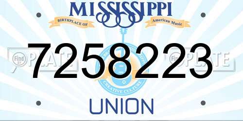 7258223 Mississippi License Plate