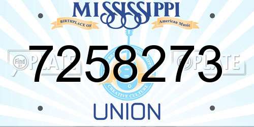 7258273 Mississippi License Plate