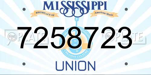 7258723 Mississippi License Plate