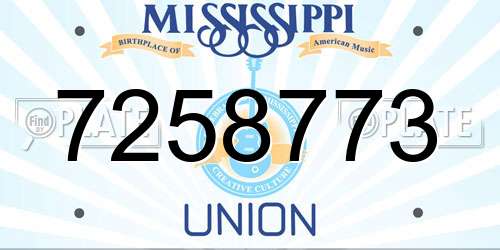 7258773 Mississippi License Plate