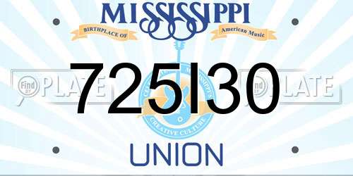 725I30 Mississippi License Plate