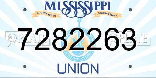 7282263 Mississippi License Plate