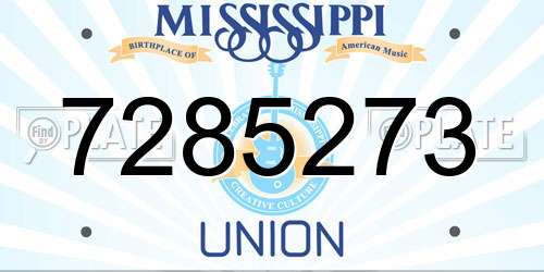 7285273 Mississippi License Plate
