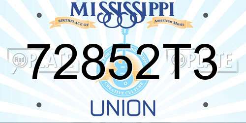 72852T3 Mississippi License Plate