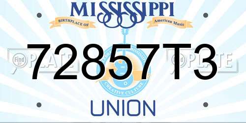 72857T3 Mississippi License Plate