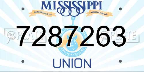 7287263 Mississippi License Plate