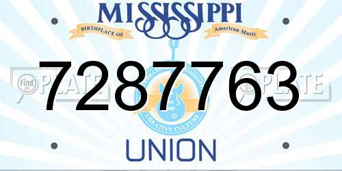 7287763 Mississippi License Plate