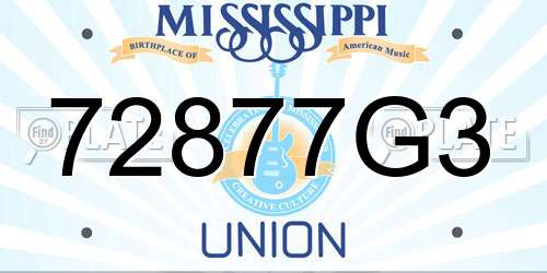 72877G3 Mississippi License Plate