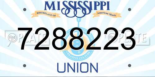 7288223 Mississippi License Plate