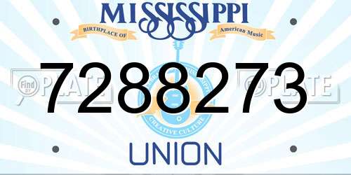 7288273 Mississippi License Plate