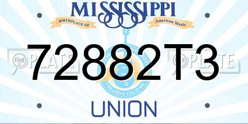 72882T3 Mississippi License Plate